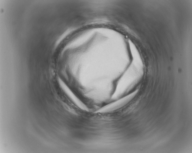 X0000070821400200607142304