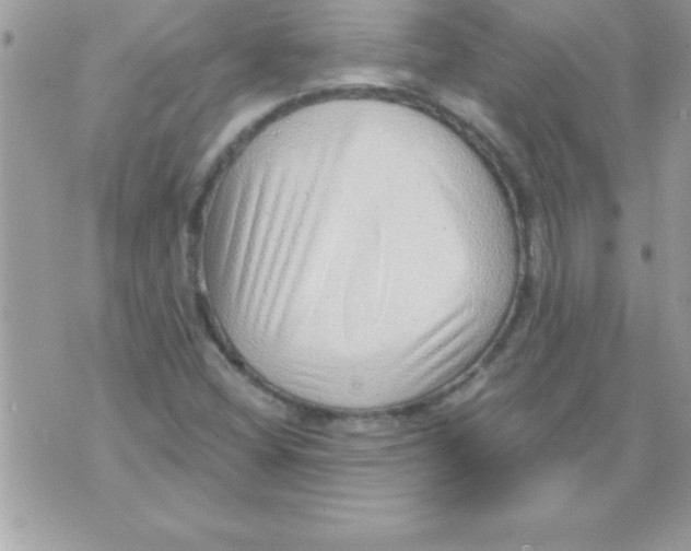 X0000070821404200607142304