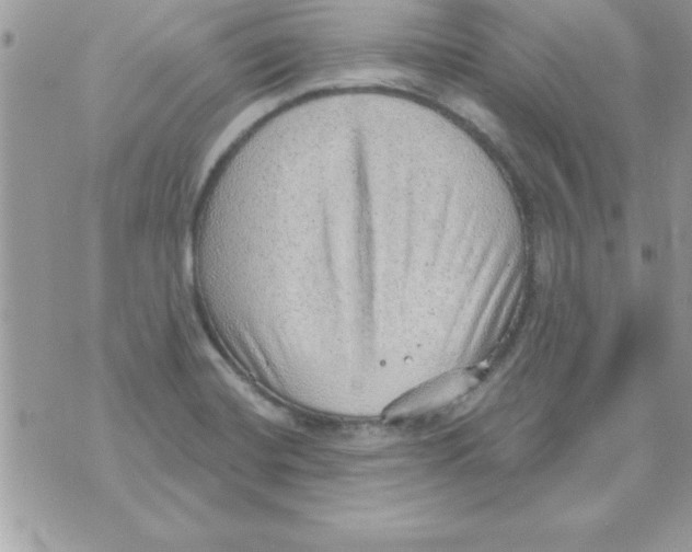 X0000070821420200607142304