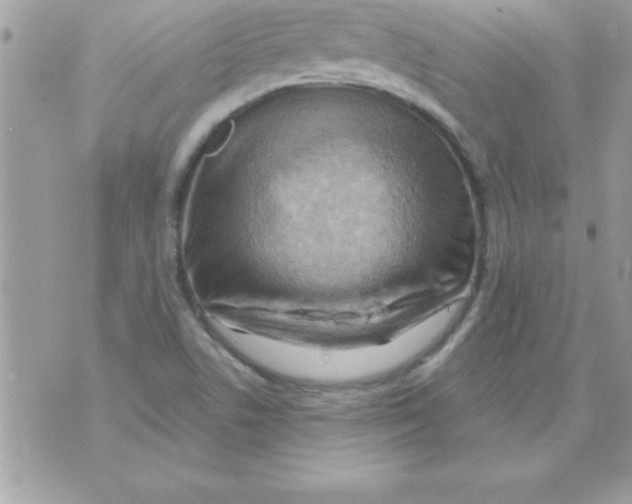 X0000070821506200607142303