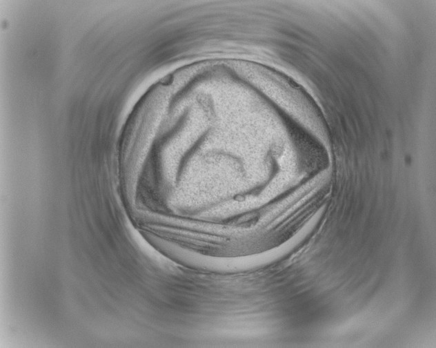 X0000070821531200607142303