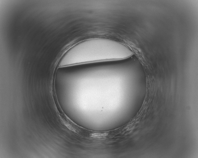 X0000070830051200606160952