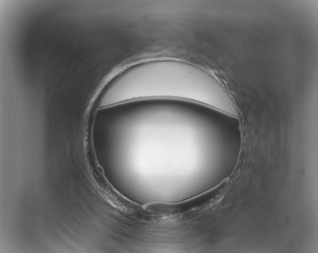 X0000070830056200606160952