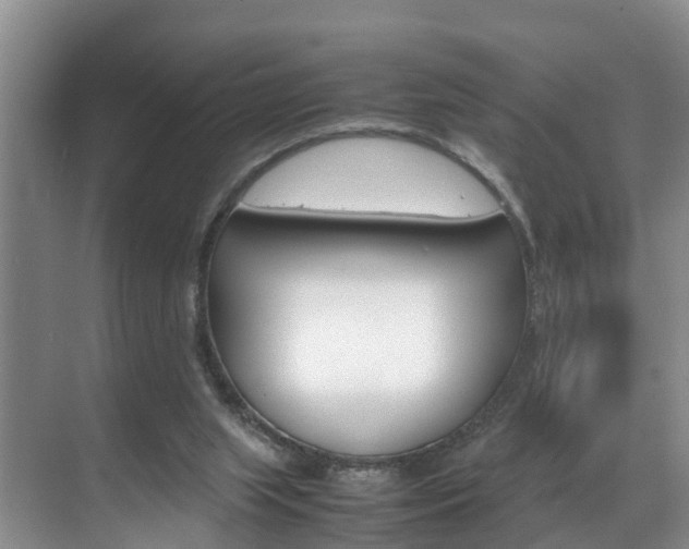 X0000070830063200606160952