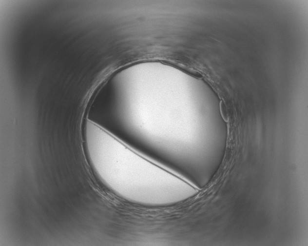 X0000070830099200606160952