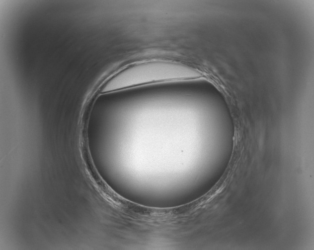 X0000070830101200606160952