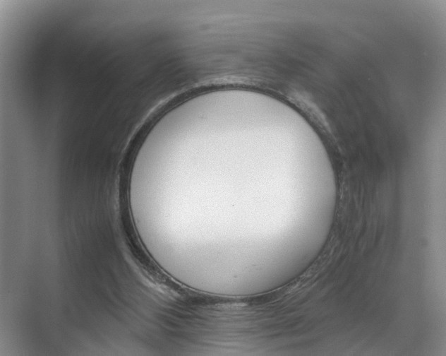 X0000070830108200606160952