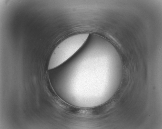 X0000070830117200606160951