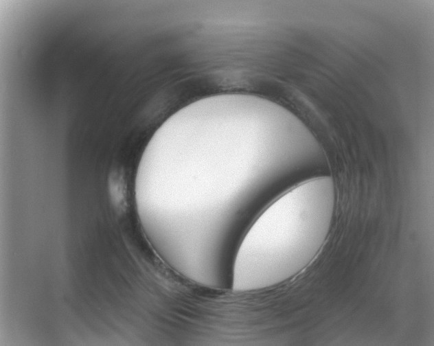X0000070830124200606160951