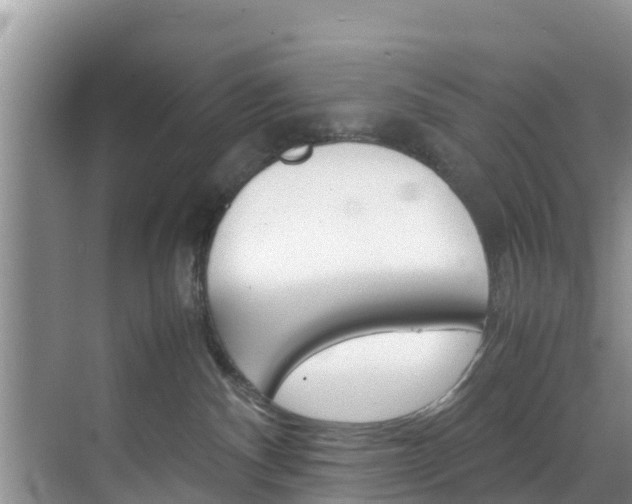 X0000070830140200606160951