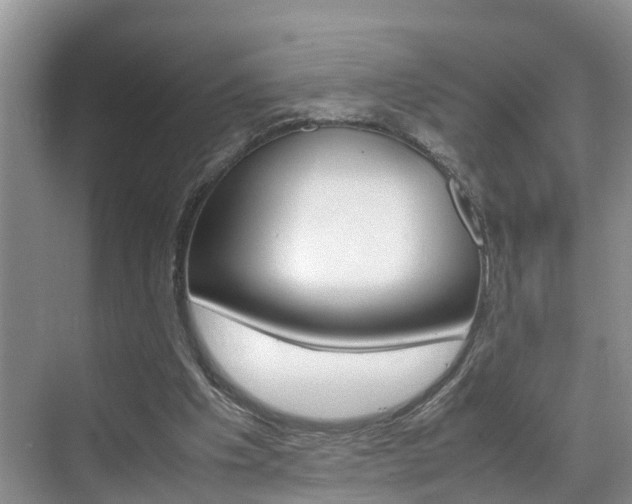 X0000070830201200606160950