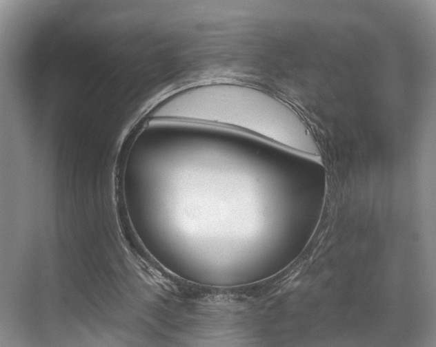 X0000070830244200606160949