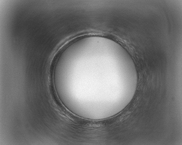 X0000070830247200606160949