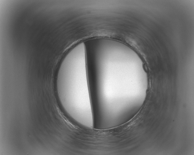 X0000070830249200606160949