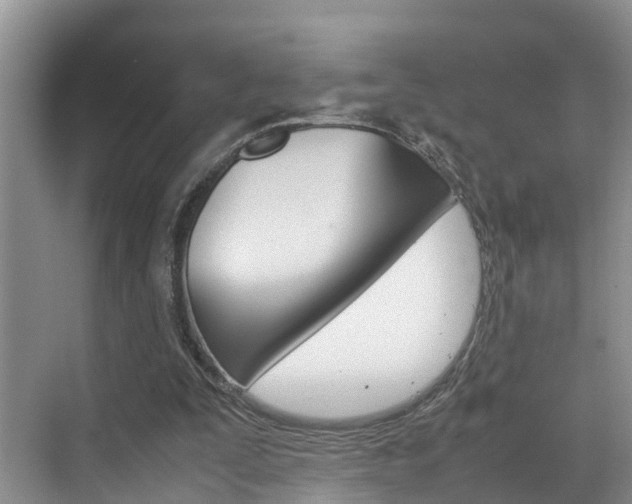 X0000070830295200606160948