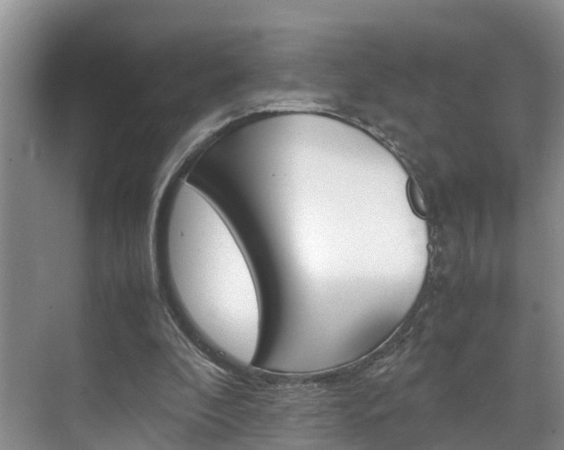 X0000070830296200606160948