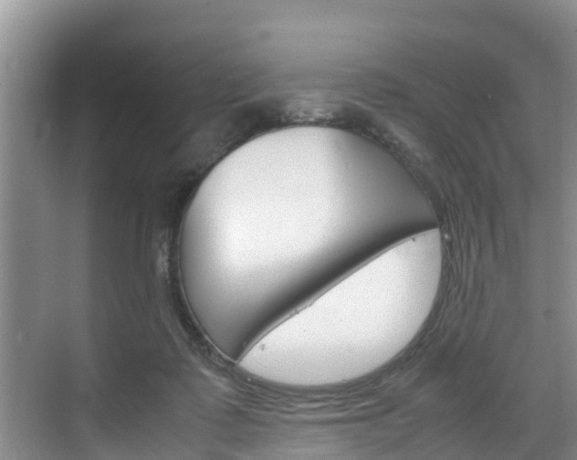 X0000070830315200606160948