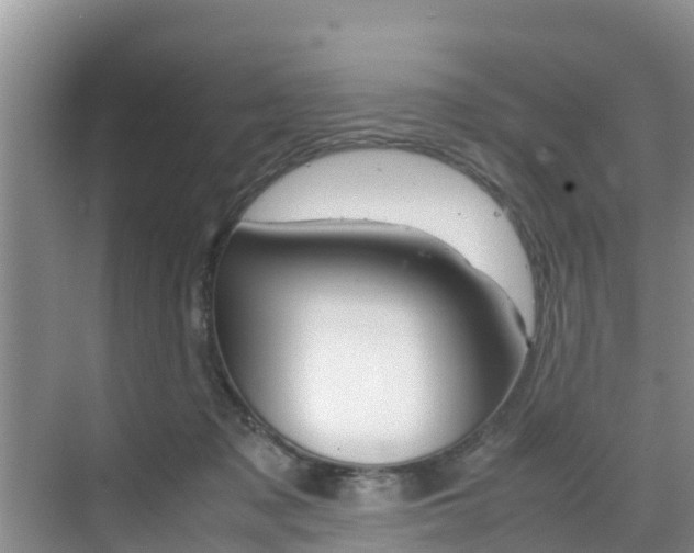 X0000070830317200606160948