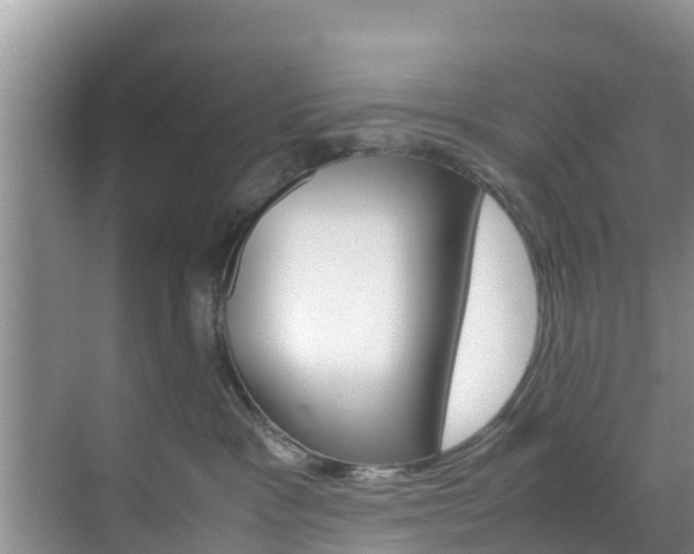 X0000070830333200606160948