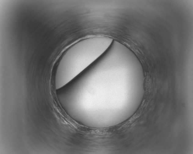 X0000070830338200606160947