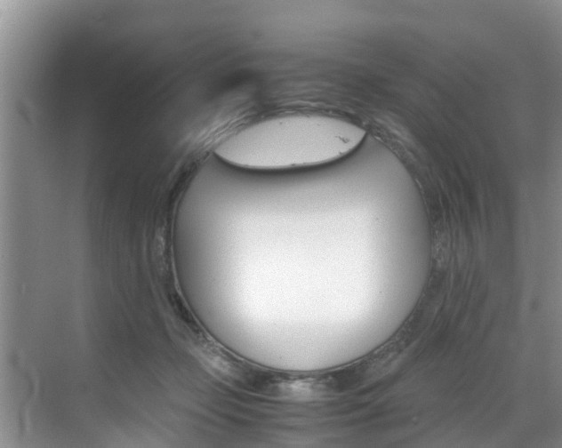 X0000070830365200606160947