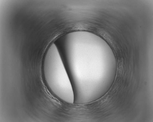 X0000070830386200606160947