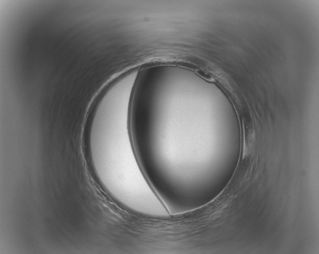X0000070830387200606160947