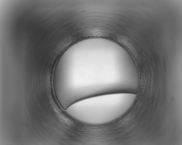 X0000070830394200606160947