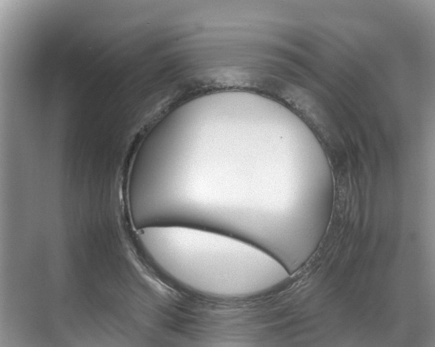 X0000070830398200606160947