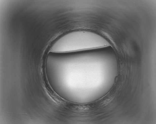 X0000070830443200606160945