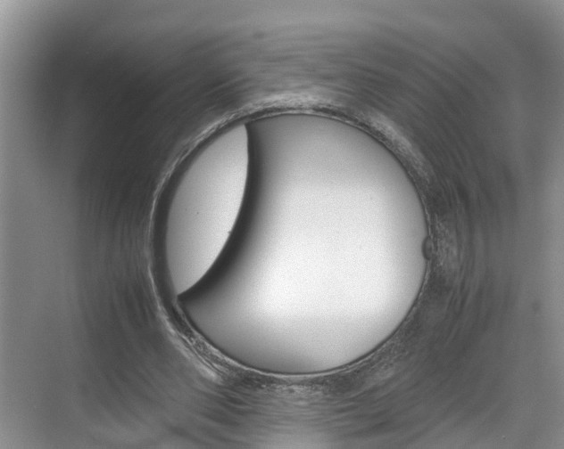 X0000070830486200606160945