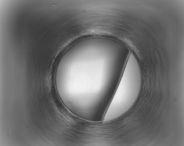 X0000070830488200606160945