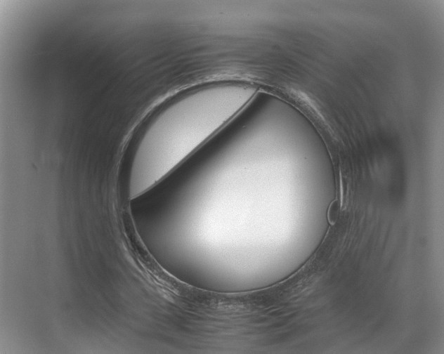 X0000070830531200606160944