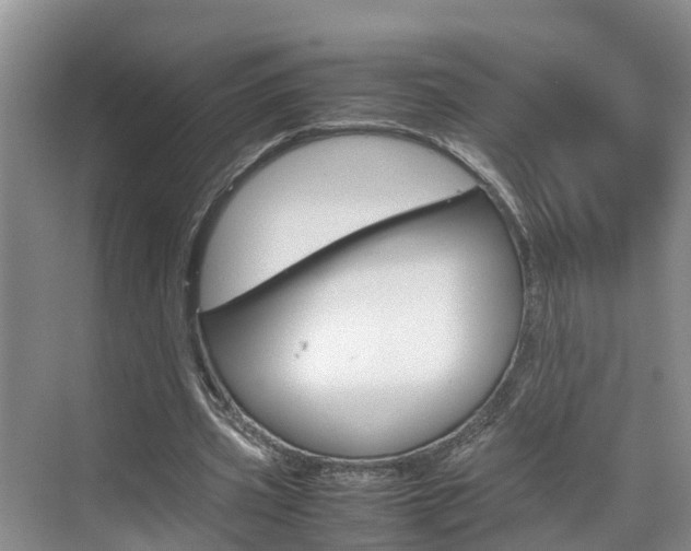 X0000070830533200606160944