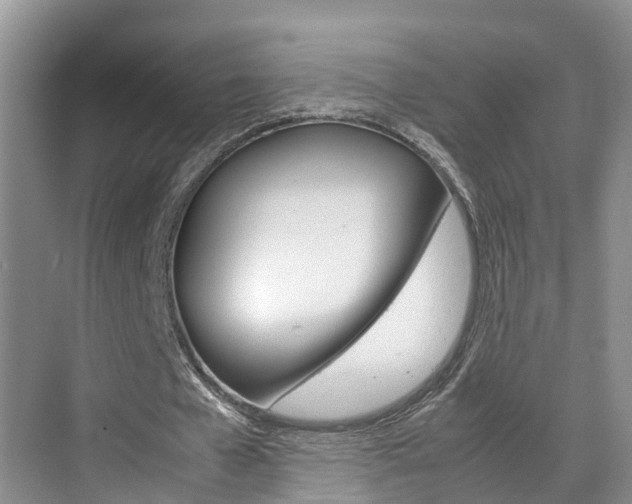 X0000070830577200606160944