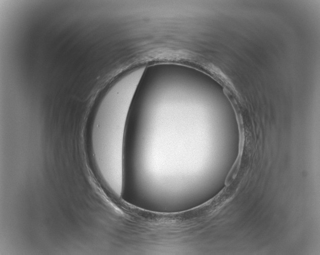 X0000070830581200606160944