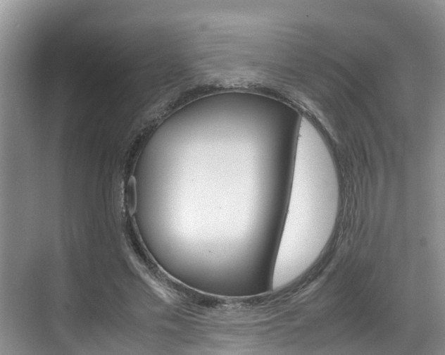 X0000070830589200606160943