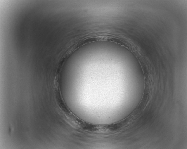 X0000070830601200606160943