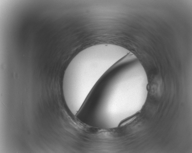 X0000070830620200606160943