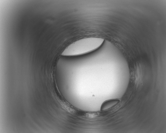 X0000070830662200606160943
