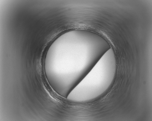 X0000070830674200606160942