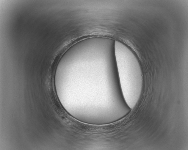 X0000070830675200606160942