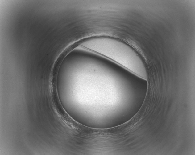 X0000070830676200606160942