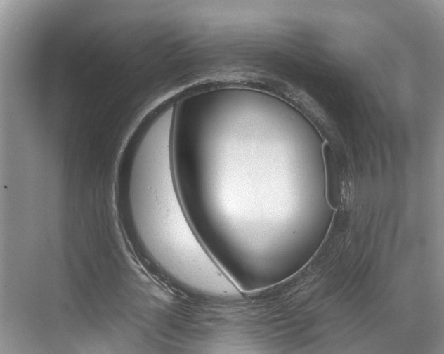 X0000070830724200606160940