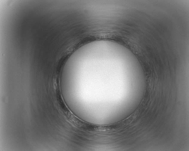 X0000070830746200606160941