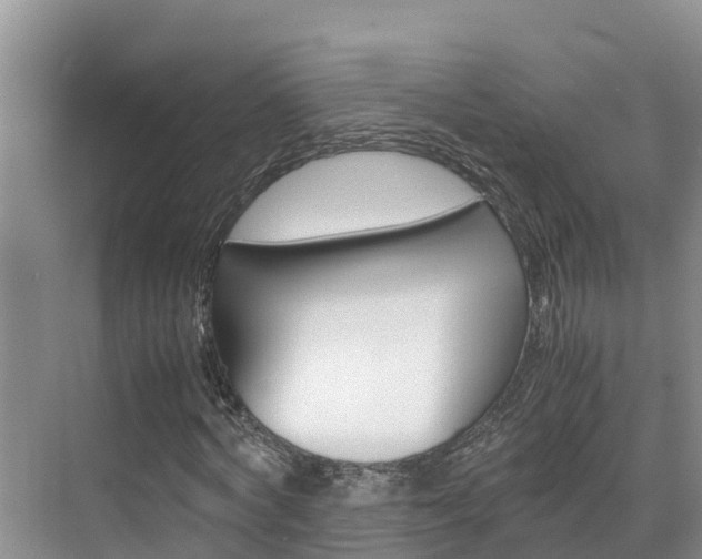 X0000070830772200606160940