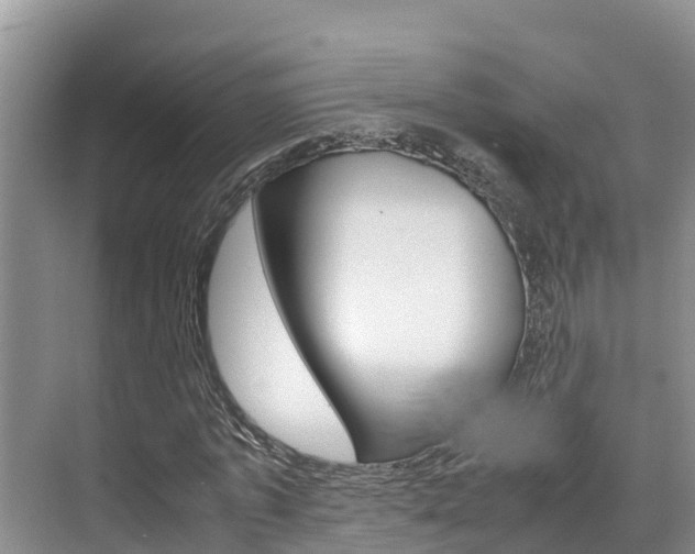 X0000070830773200606160940