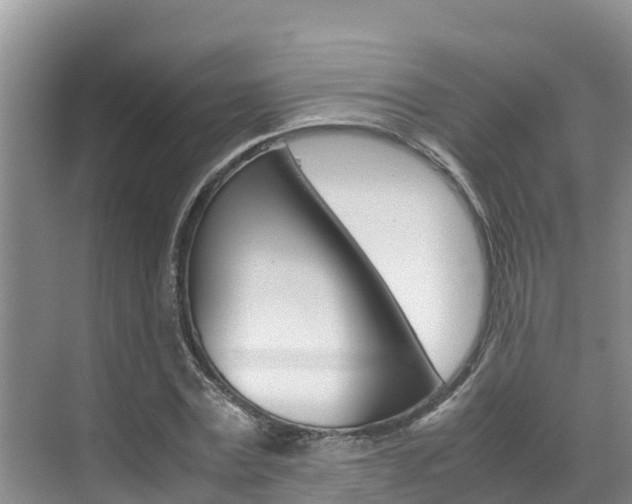 X0000070830779200606160940