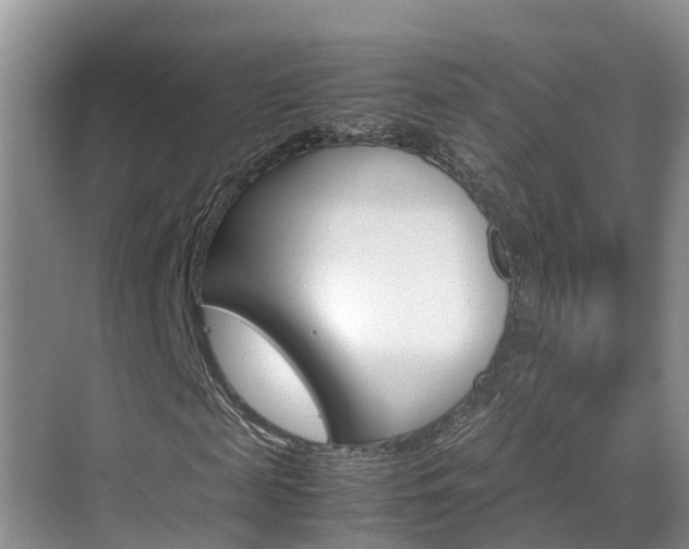 X0000070830817200606160939