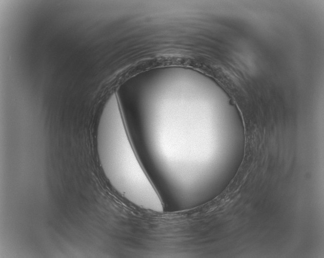 X0000070830821200606160939